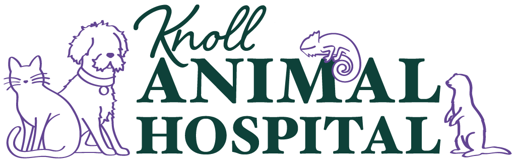 Knoll Animal Hospital